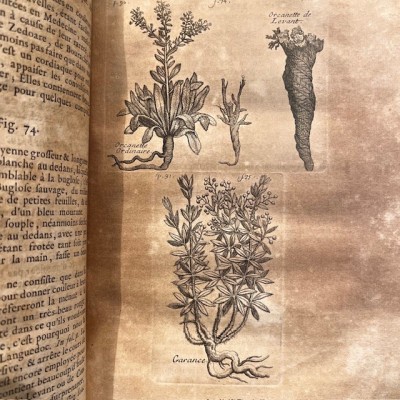 General History of Drugs - Pomet - 1735 edition 2 volumes - Apothecary