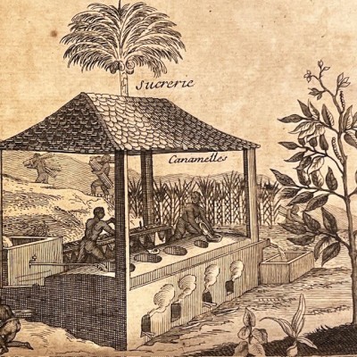 Histoire Générale des drogues - Par Pomet - Livre ancien de 1735