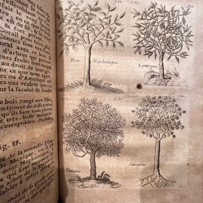Histoire Générale des drogues - Par Pomet - Livre ancien de 1735