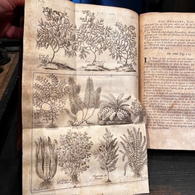 Histoire Générale des drogues - Par Pomet - Livre ancien de 1735