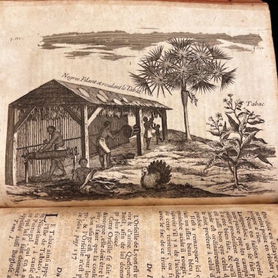 Histoire Générale des drogues - Par Pomet - Livre ancien de 1735
