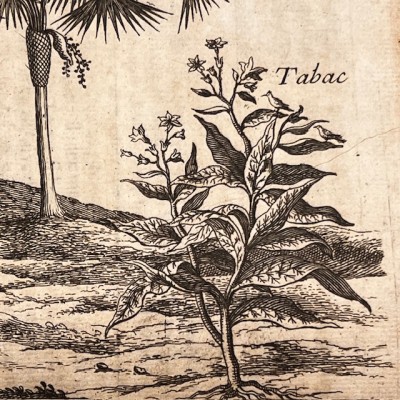 Histoire Générale des drogues - Par Pomet - Livre ancien de 1735