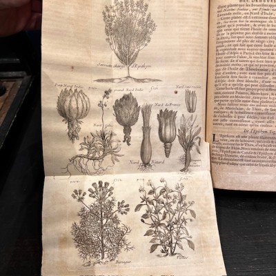 General History of Drugs - Pomet - 1735 edition 2 volumes - Apothecary