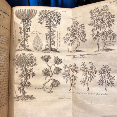 General History of Drugs - Pomet - 1735 edition 2 volumes - Apothecary