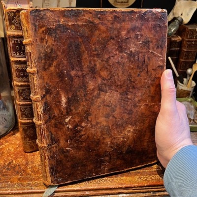 General History of Drugs - Pomet - 1735 edition 2 volumes - Apothecary