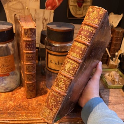 General History of Drugs - Pomet - 1735 edition 2 volumes - Apothecary