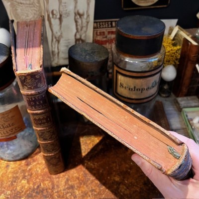 Histoire Générale des drogues - Par Pomet - Livre ancien de 1735