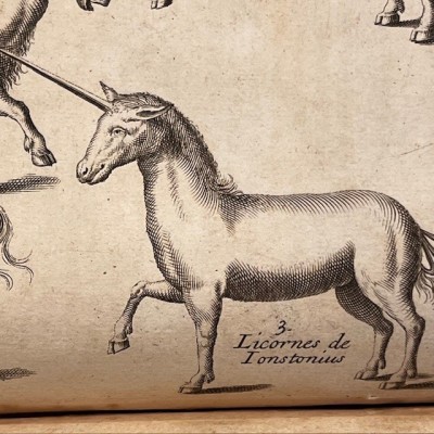 Histoire Générale des drogues - Par Pomet - Livre ancien de 1735