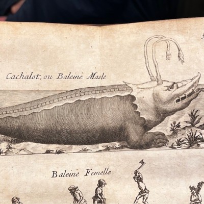 Histoire Générale des drogues - Par Pomet - Livre ancien de 1735