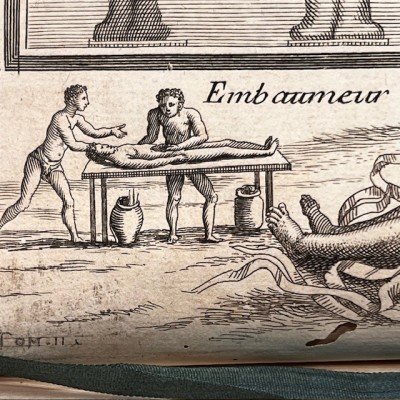 Histoire Générale des drogues - Par Pomet - Livre ancien de 1735