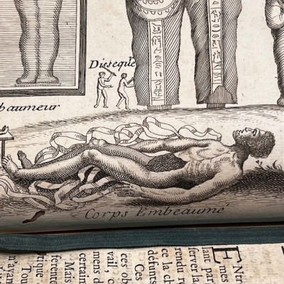 General History of Drugs - Pomet - 1735 edition 2 volumes - Apothecary