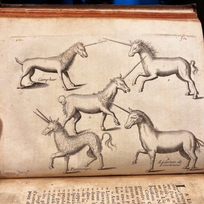 General History of Drugs - Pomet - 1735 edition 2 volumes - Apothecary