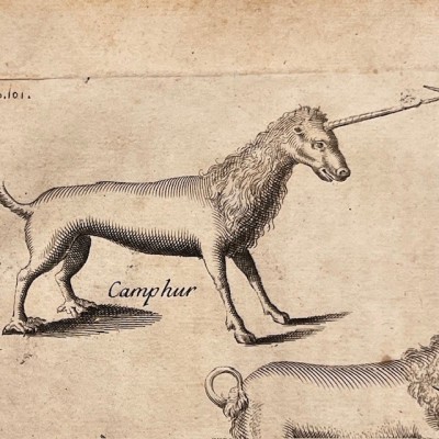 Histoire Générale des drogues - Par Pomet - Livre ancien de 1735