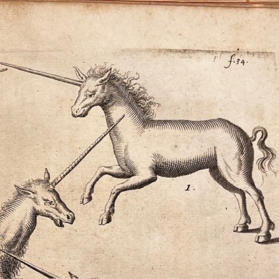 Histoire Générale des drogues - Par Pomet - Livre ancien de 1735