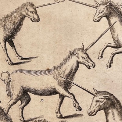 Histoire Générale des drogues - Par Pomet - Livre ancien de 1735