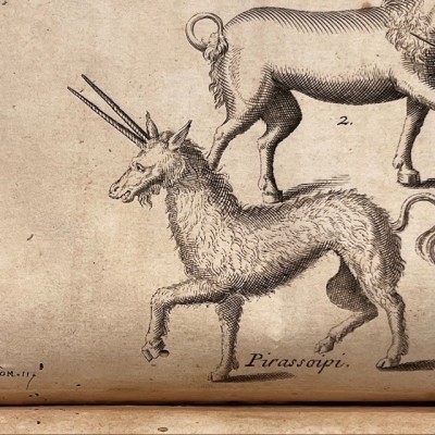 Histoire Générale des drogues - Par Pomet - Livre ancien de 1735