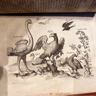 Histoire Générale des drogues - Par Pomet - Livre ancien de 1735