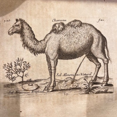 Histoire Générale des drogues - Par Pomet - Livre ancien de 1735