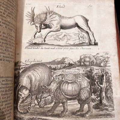 General History of Drugs - Pomet - 1735 edition 2 volumes - Apothecary