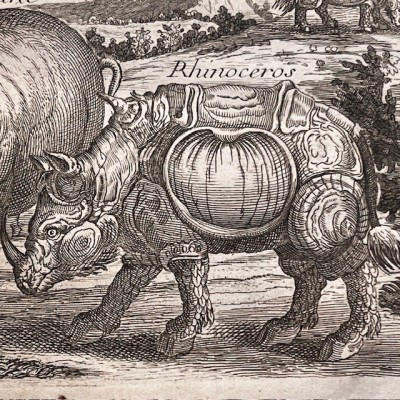 Histoire Générale des drogues - Par Pomet - Livre ancien de 1735