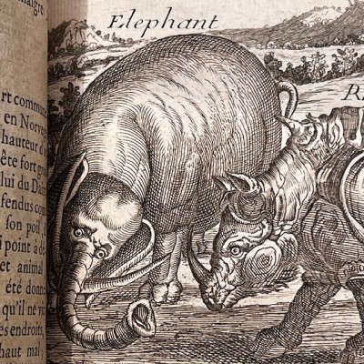 Histoire Générale des drogues - Par Pomet - Livre ancien de 1735