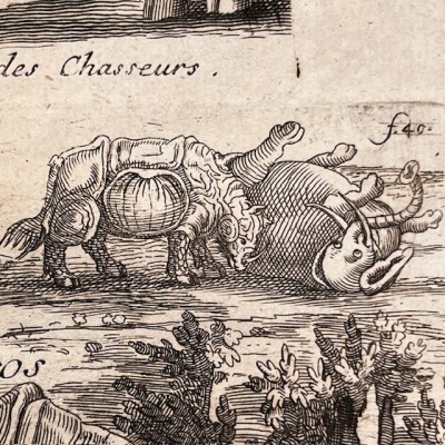 Histoire Générale des drogues - Par Pomet - Livre ancien de 1735
