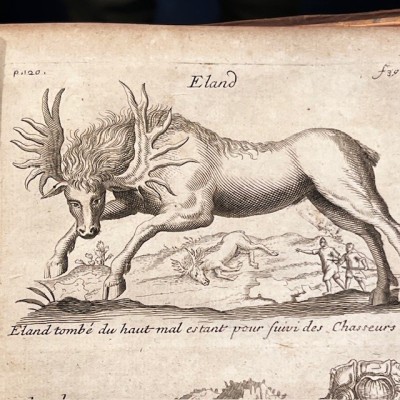 Histoire Générale des drogues - Par Pomet - Livre ancien de 1735