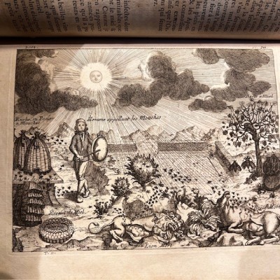 Histoire Générale des drogues - Par Pomet - Livre ancien de 1735