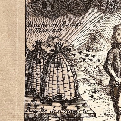 Histoire Générale des drogues - Par Pomet - Livre ancien de 1735