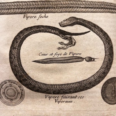 Histoire Générale des drogues - Par Pomet - Livre ancien de 1735