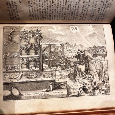 General History of Drugs - Pomet - 1735 edition 2 volumes - Apothecary