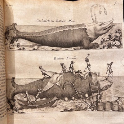 Histoire Générale des drogues - Par Pomet - Livre ancien de 1735