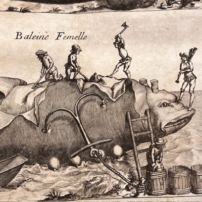 Histoire Générale des drogues - Par Pomet - Livre ancien de 1735