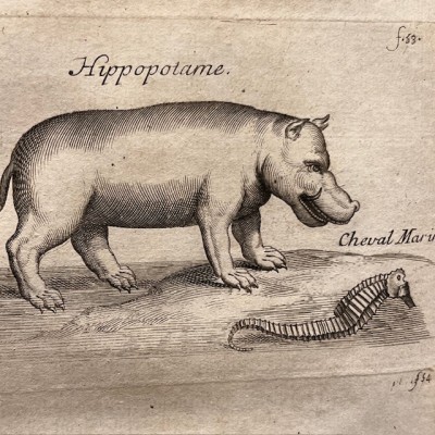 Histoire Générale des drogues - Par Pomet - Livre ancien de 1735