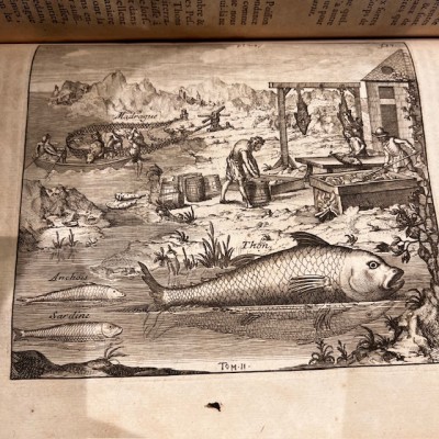 Histoire Générale des drogues - Par Pomet - Livre ancien de 1735