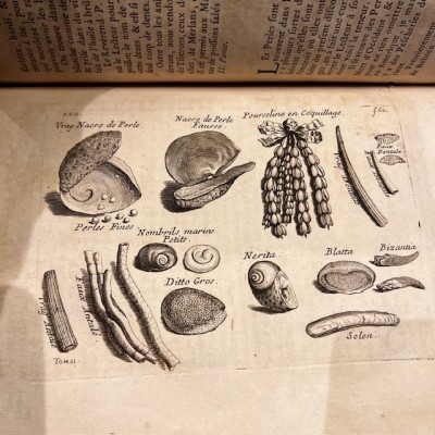 Histoire Générale des drogues - Par Pomet - Livre ancien de 1735