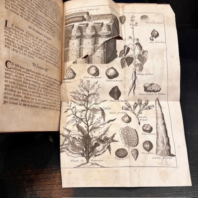 Histoire Générale des drogues - Par Pomet - Livre ancien de 1735