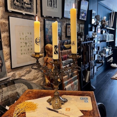 Candélabre Floral Belle Epoque - Art Nouveau - 1900 - Chandelier