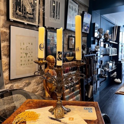 Candélabre Floral Belle Epoque - Art Nouveau - 1900 - Chandelier