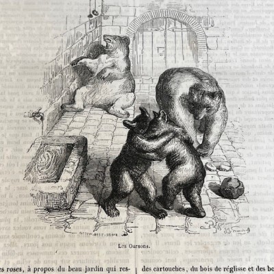 Le Jardin des Plantes - Par Boitard - Livre illustré ancien - 1851