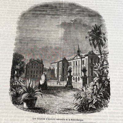 The Jardin des Plantes - By Boitard - Antique illustred book - 1851