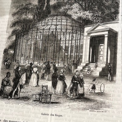 The Jardin des Plantes - By Boitard - Antique illustred book - 1851