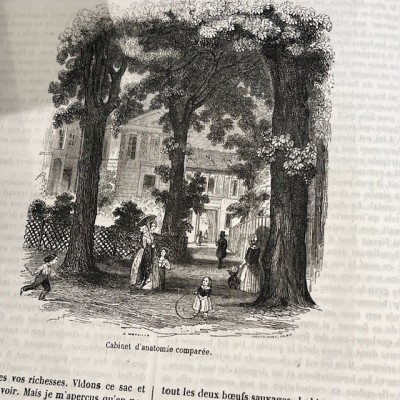 Le Jardin des Plantes - Par Boitard - Livre illustré ancien - 1851
