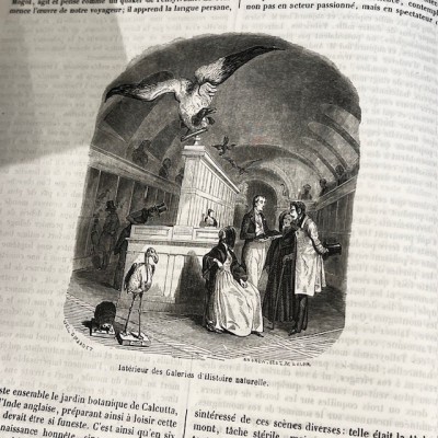 The Jardin des Plantes - By Boitard - Antique illustred book - 1851