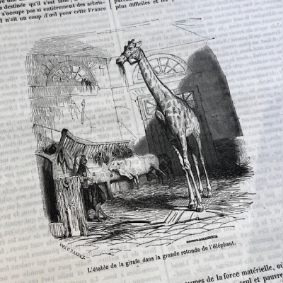 Le Jardin des Plantes - Par Boitard - Livre illustré ancien - 1851