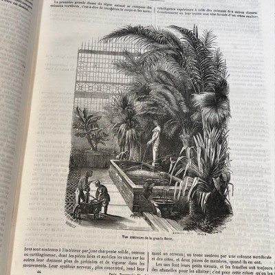 Le Jardin des Plantes - Par Boitard - Livre illustré ancien - 1851
