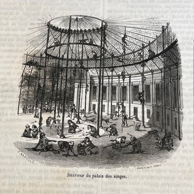 Le Jardin des Plantes - Par Boitard - Livre illustré ancien - 1851