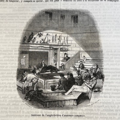 The Jardin des Plantes - By Boitard - Antique illustred book - 1851