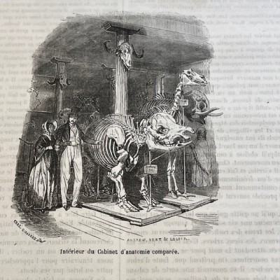 The Jardin des Plantes - By Boitard - Antique illustred book - 1851