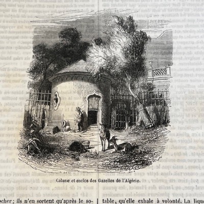 The Jardin des Plantes - By Boitard - Antique illustred book - 1851